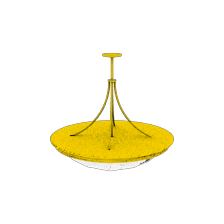 Input image