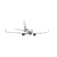 Input image