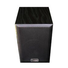 Input image