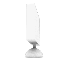 Input image